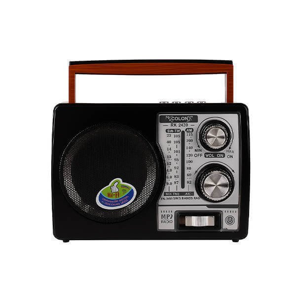 0053712_golon-radioblack-rx-2690_600 راديو جولوون RX-2690D متعدد الوظائف | RoxyStore