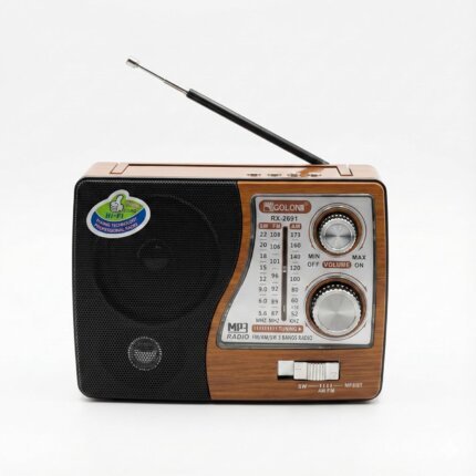 راديو جولون خشبي أنيق، بثلاثة نطاقات (AM / FM / SW)، يدعم البلوتوث وUSB وبطاقة TF، مع مدخل شحن DC وبطارية قابلة لإعادة الشحن | RX-2691
