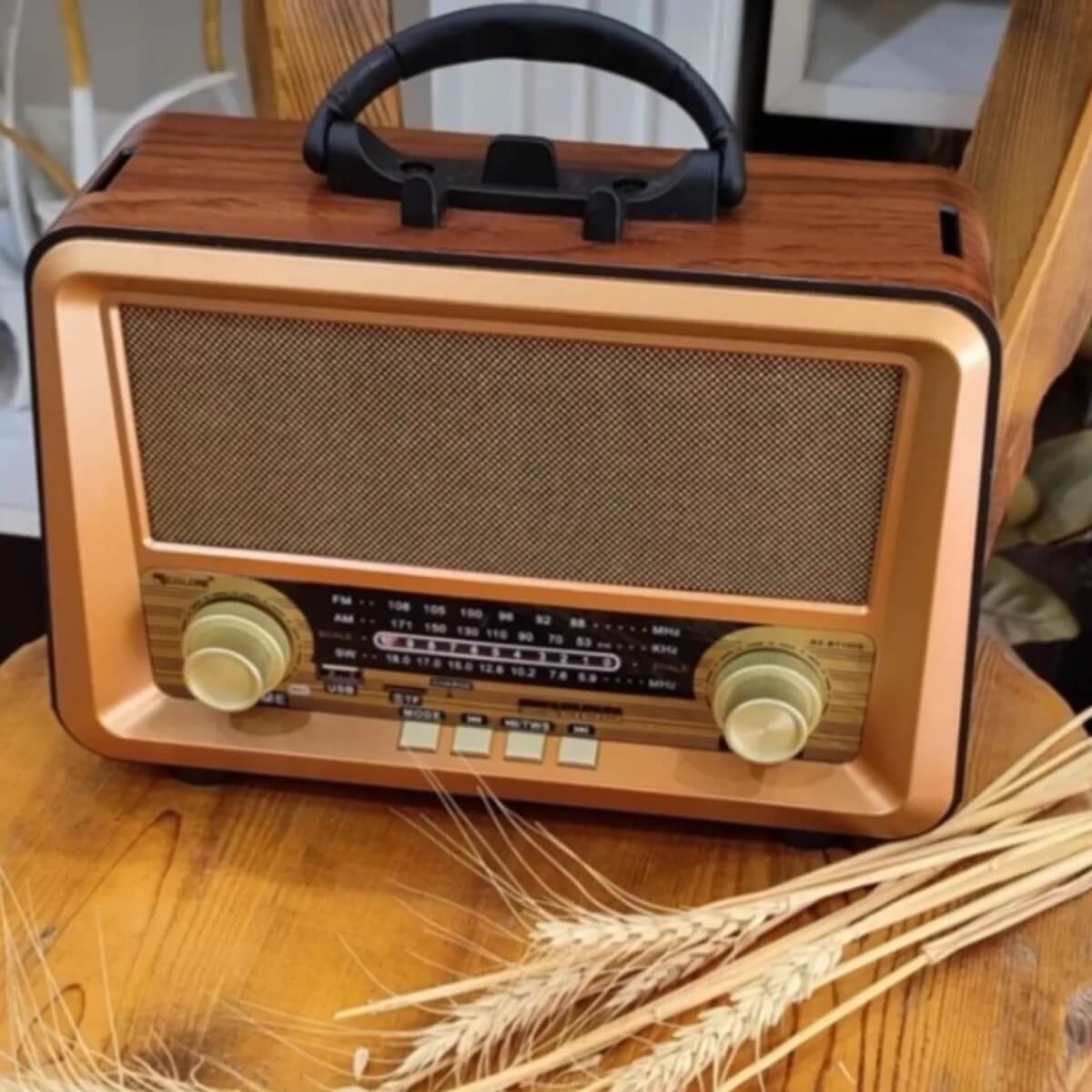 RX-BT1006_03 راديو خشبي لاسلكي أنيق من Golon، بثلاث موجات (AM-FM-SW)، يدعم البلوتوث وUSB وبطاقة TF وتقنية TWS، مزوّد بمدخل شحن AC وبطارية قابلة لإعادة الشحن | RX-BT1006 | RoxyStore