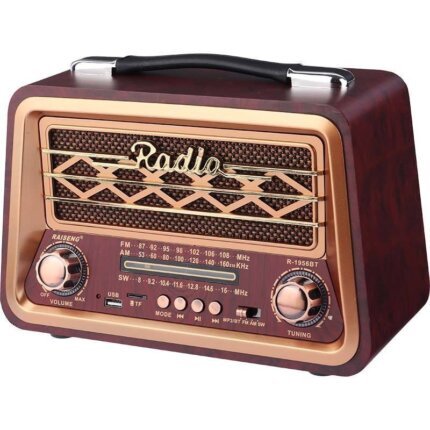 راديو ومكبر صوت كلاسيك بلوتوث Raiseng R-1956BT يدعم كارت ميموري وفلاشة USB